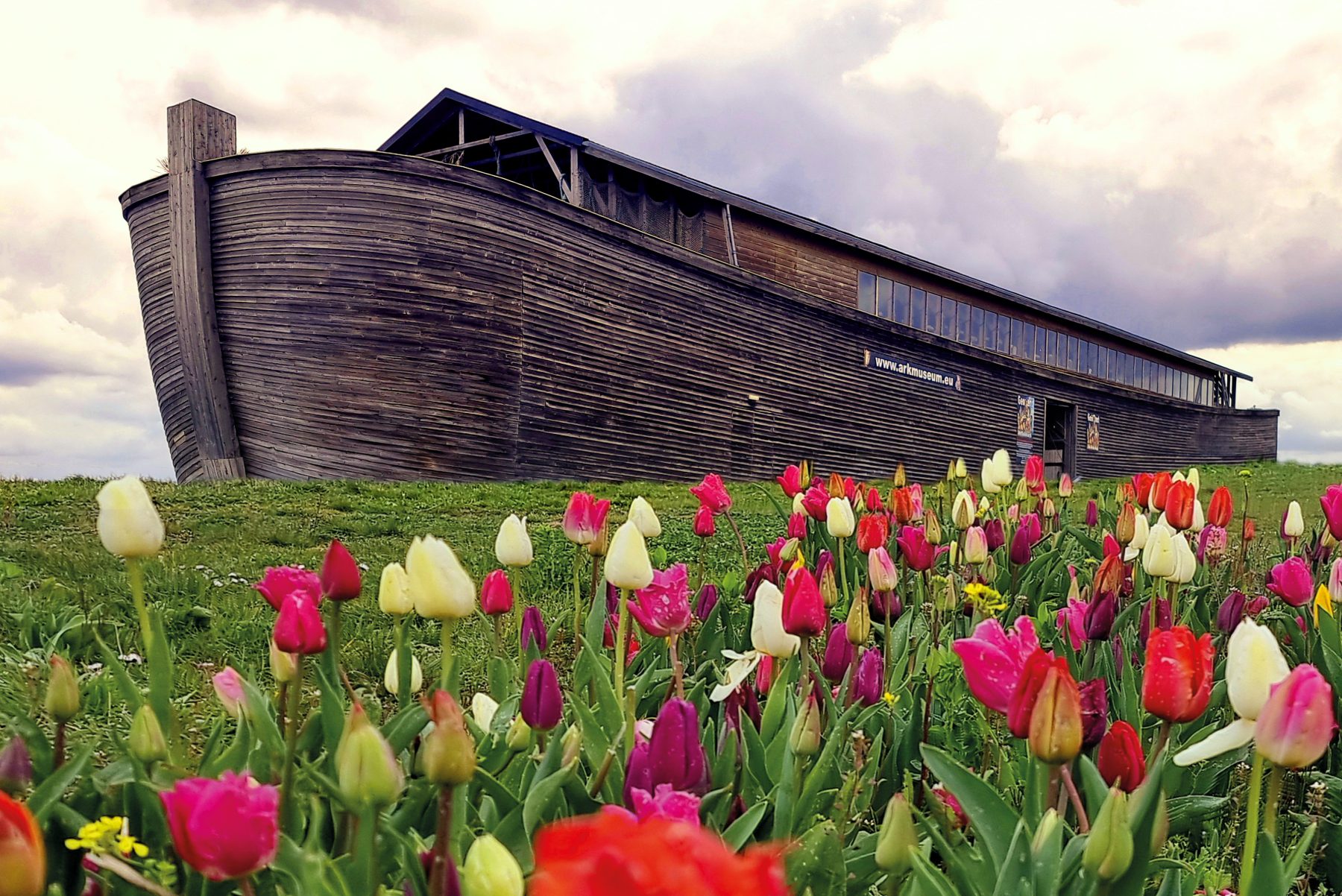 De Ark van Noach achter een veld bloeiende tulpen